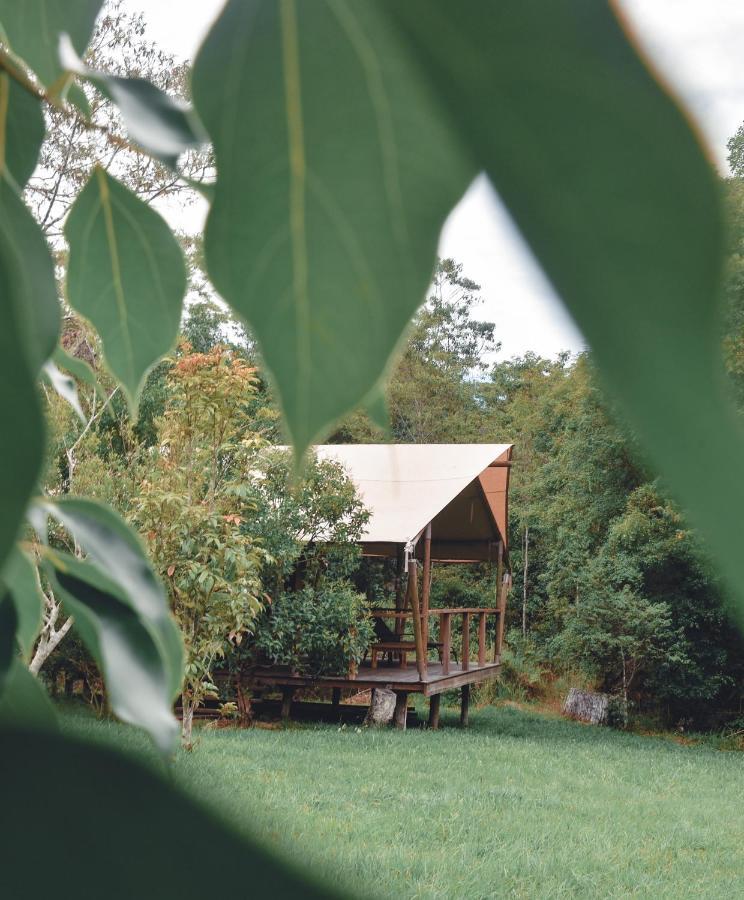 ซิลค์ พาวิลเลียน Hotel Mount Burrell ภายนอก รูปภาพ