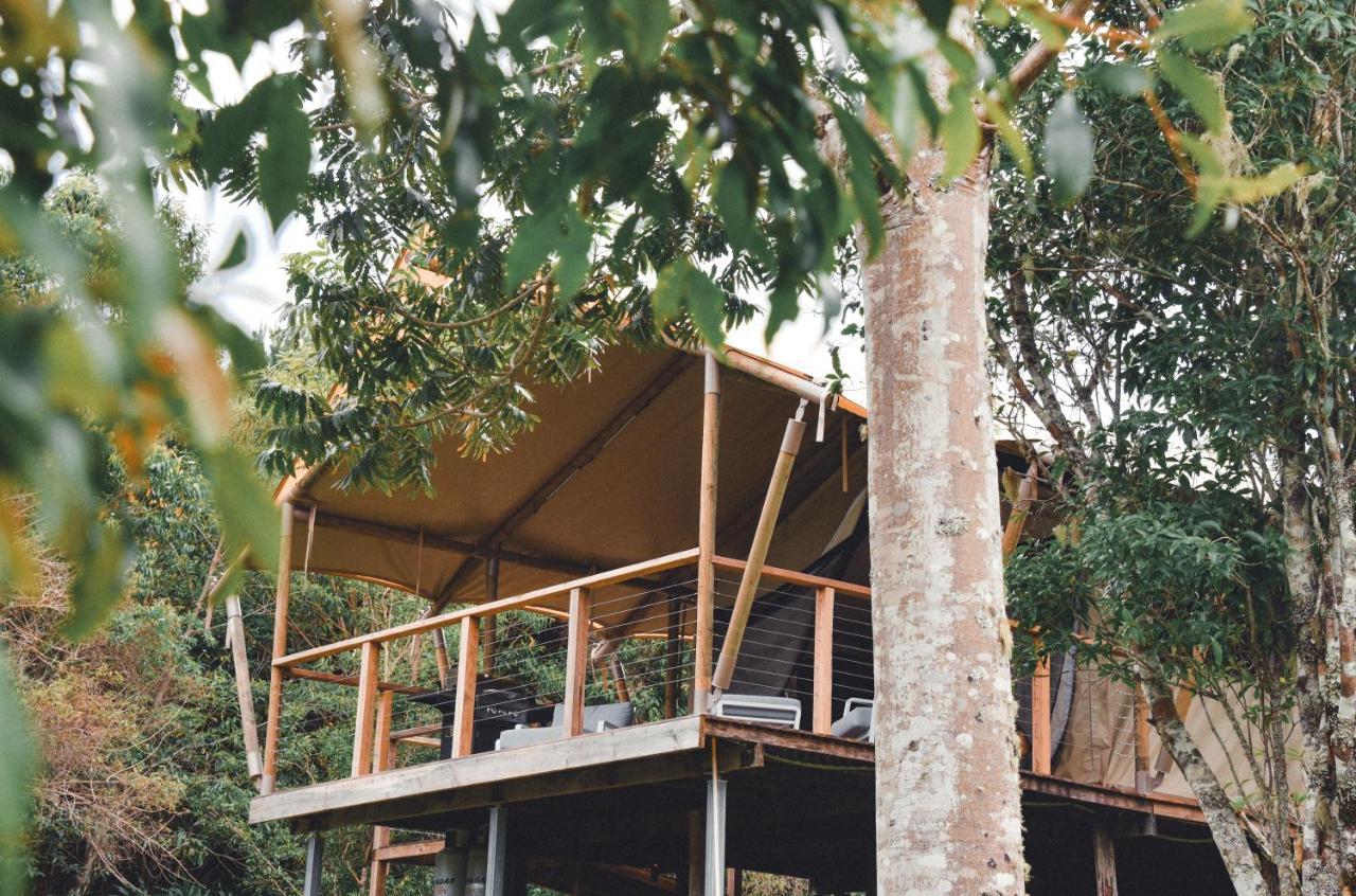 ซิลค์ พาวิลเลียน Hotel Mount Burrell ภายนอก รูปภาพ